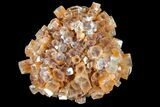 Aragonite Twinned Crystal Cluster - Morocco #87763-1